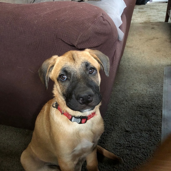 Meet your Posher, Aaron - Picture 3 of 5